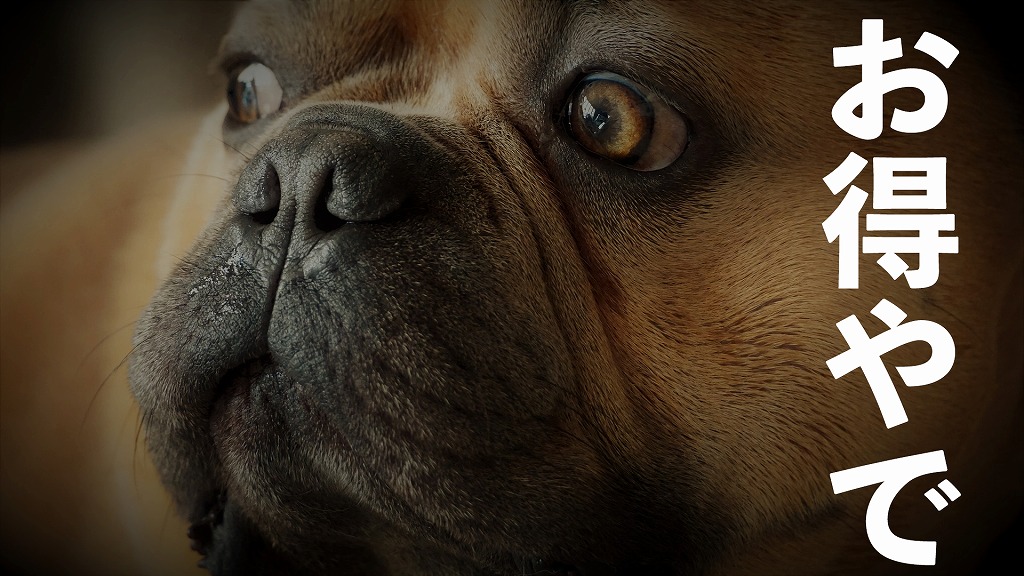 Amazonでお得に買い物をする方法をまとめてみた ピコマガ